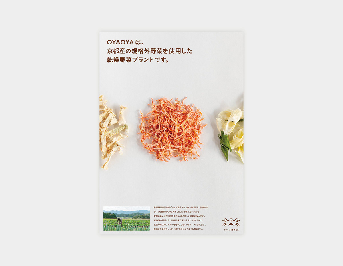 蔬菜干品牌包裝設(shè)計(jì)欣賞